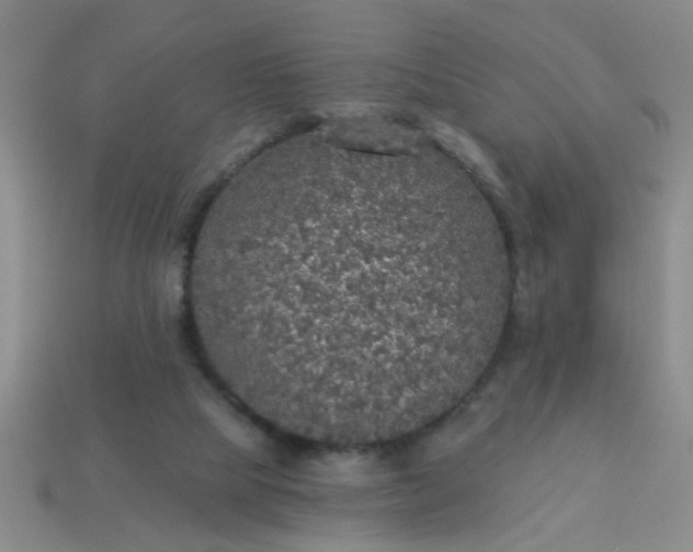 X0000114130065200910221513