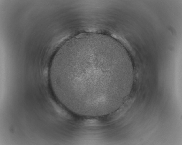 X0000114130066200910221513