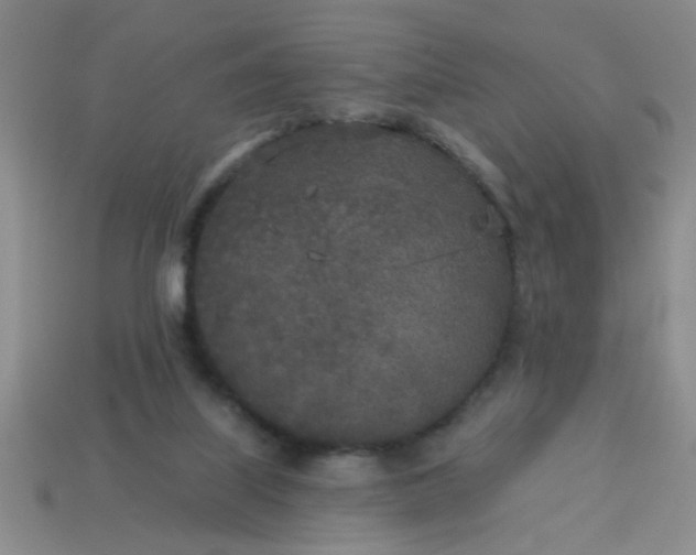 X0000114130067200910221513