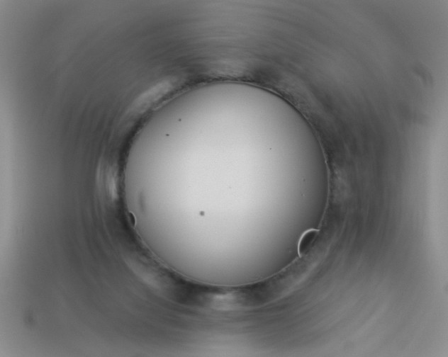 X0000114130068200910221513