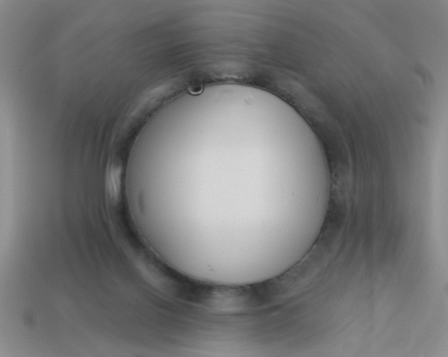 X0000114130070200910221513