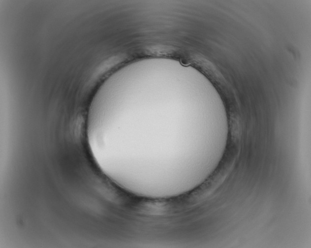 X0000114130071200910221513