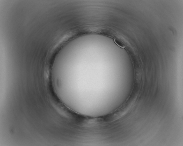 X0000114130072200910221513