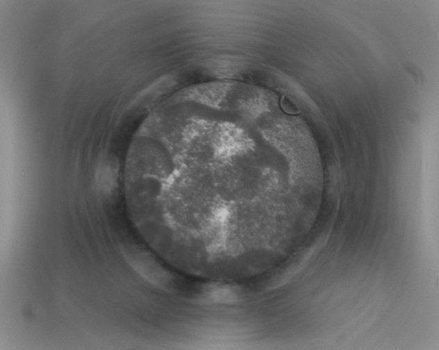 X0000114130073200910221513