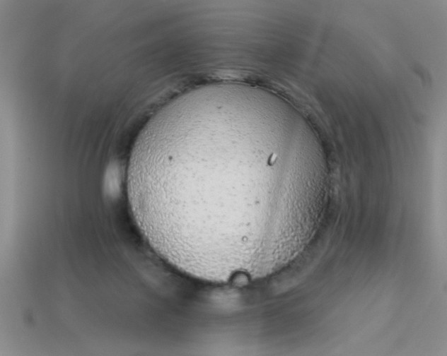 X0000114130075200910221513