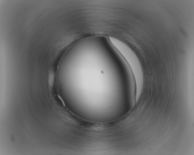 X0000114130076200910221513