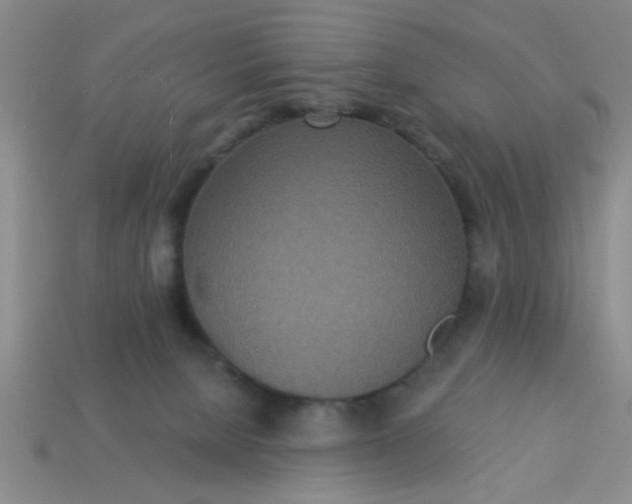 X0000114130080200910221513