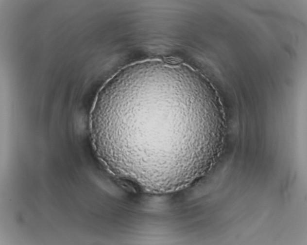 X0000114130081200910221513