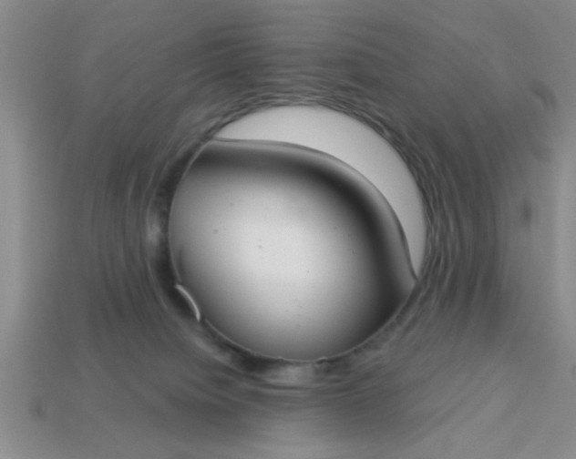 X0000114130084200910221513