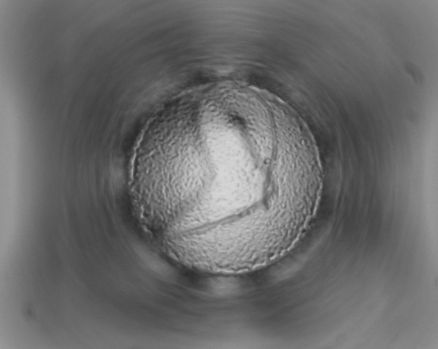 X0000114130085200910221513