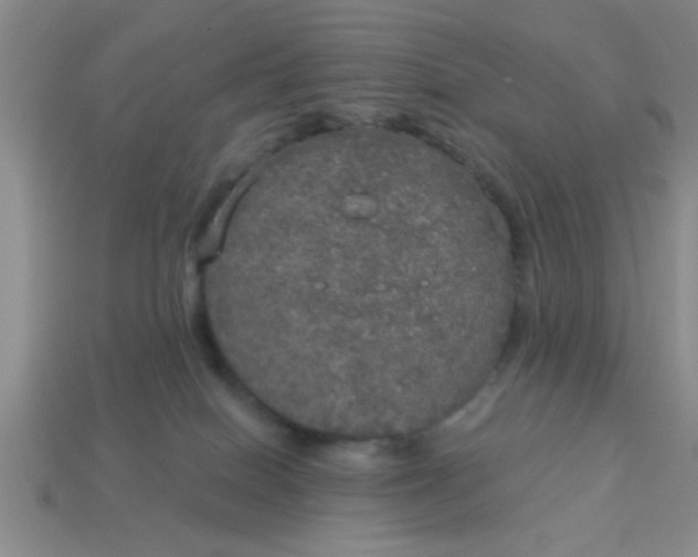 X0000114130086200910221513