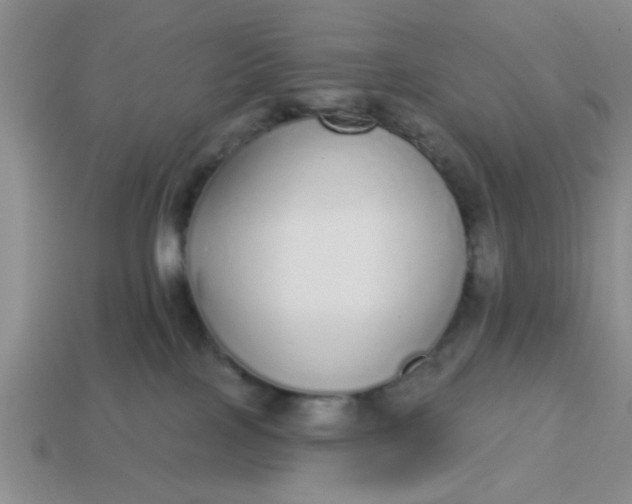 X0000114130089200910221513