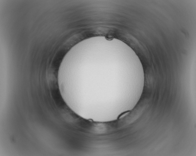 X0000114130091200910221513