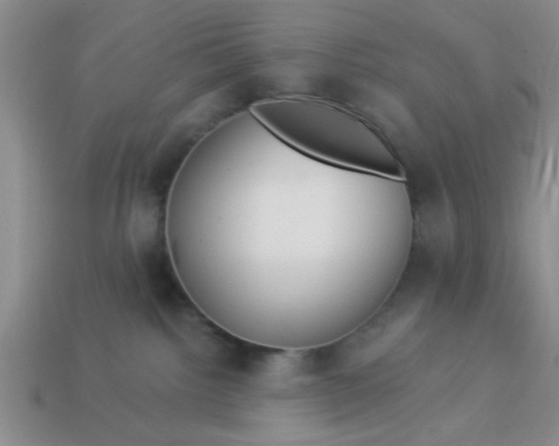 X0000114130092200910221513