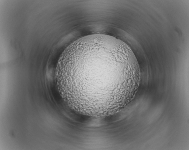 X0000114130093200910221513