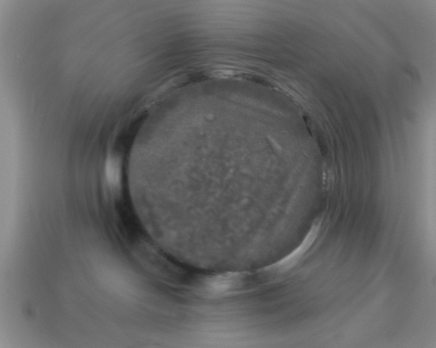 X0000114130094200910221513