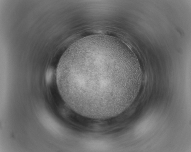 X0000114130095200910221513