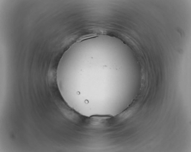 X0000114130096200910221513