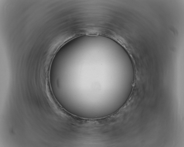 X0000114130097200910221513