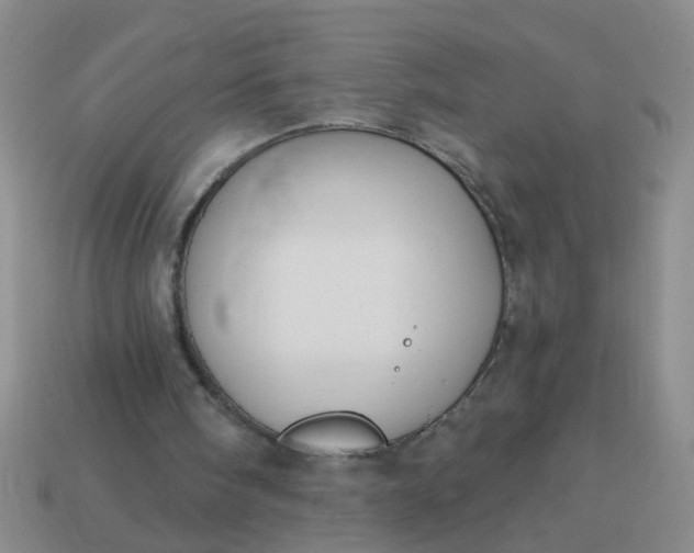 X0000114130098200910221513