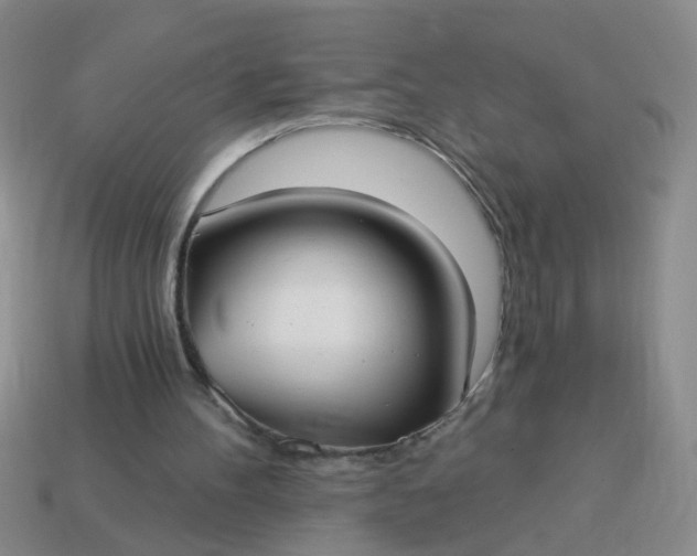 X0000114130100200910221513