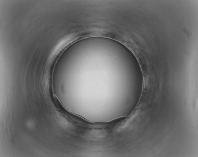 X0000114130101200910221513