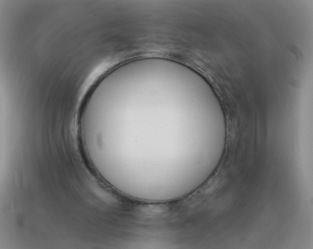 X0000114130102200910221513