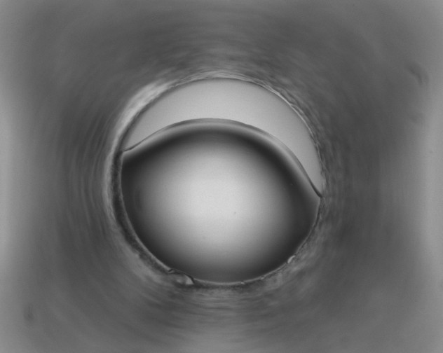 X0000114130104200910221512