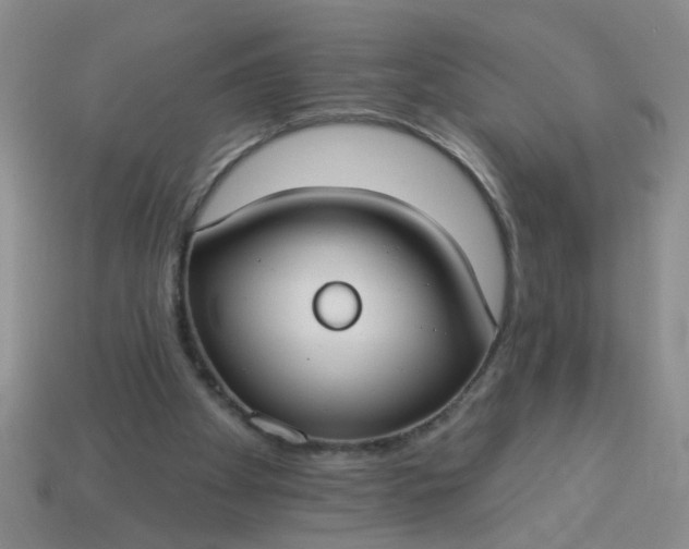 X0000114130105200910221512