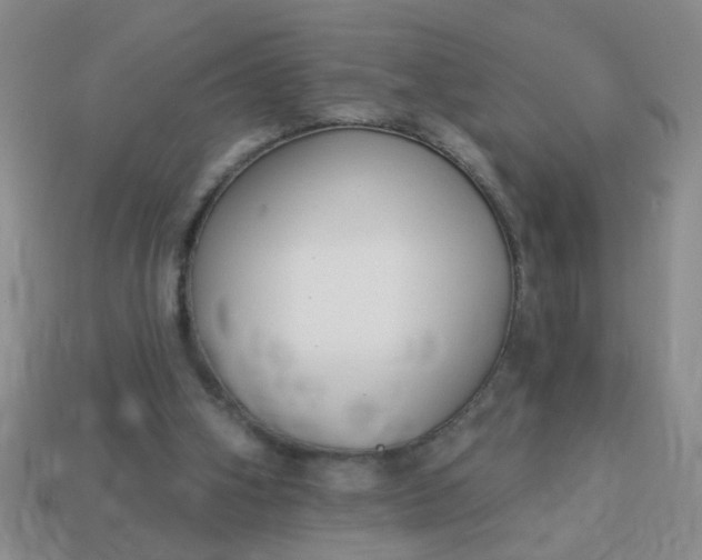 X0000114130106200910221512