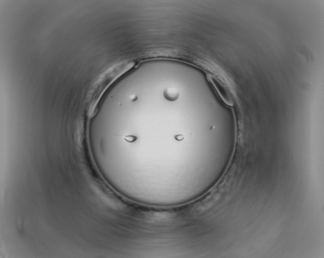 X0000114130107200910221512