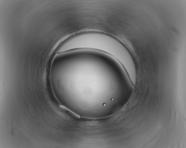 X0000114130108200910221512