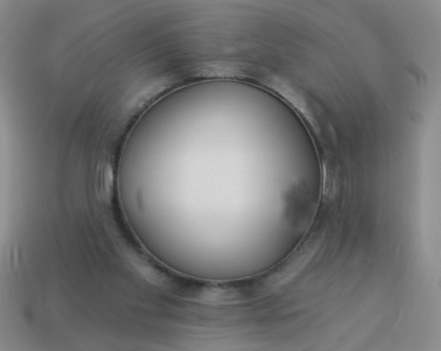 X0000114130109200910221512