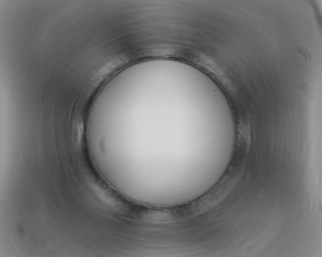 X0000114130110200910221512