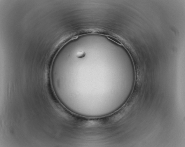 X0000114130111200910221512