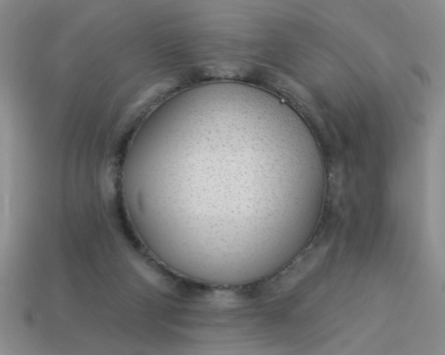 X0000114130114200910221512