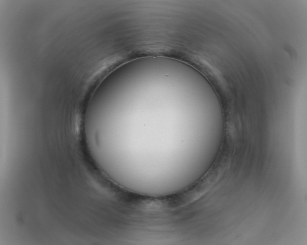 X0000114130115200910221512