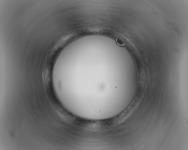 X0000114130116200910221512