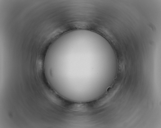 X0000114130117200910221512