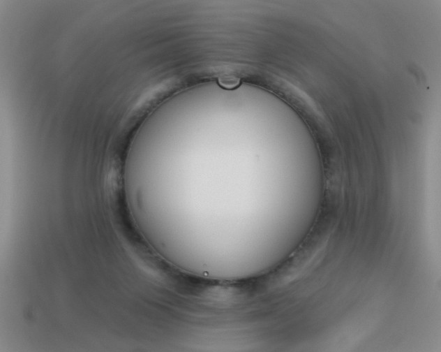 X0000114130119200910221512