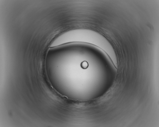 X0000114130120200910221512