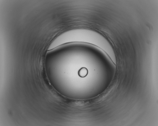 X0000114130121200910221512