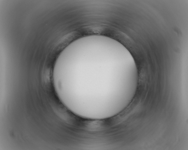 X0000114130122200910221512