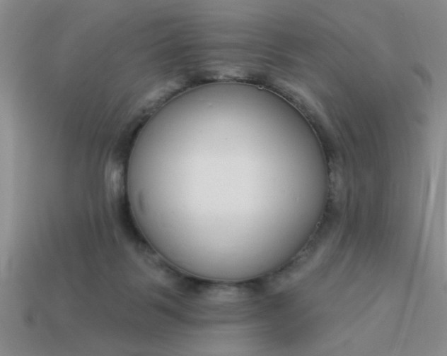 X0000114130123200910221512