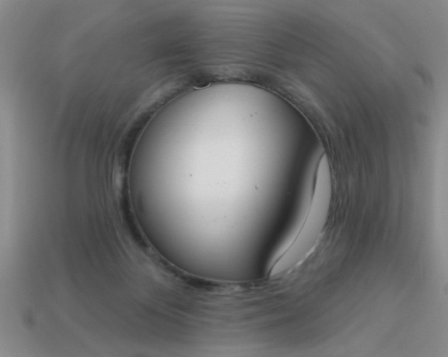 X0000114130124200910221512