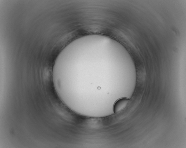 X0000114130126200910221512