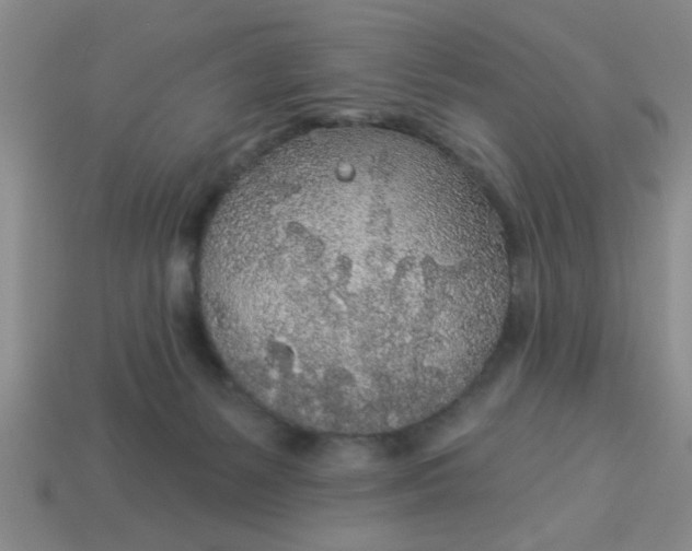 X0000114130127200910221512