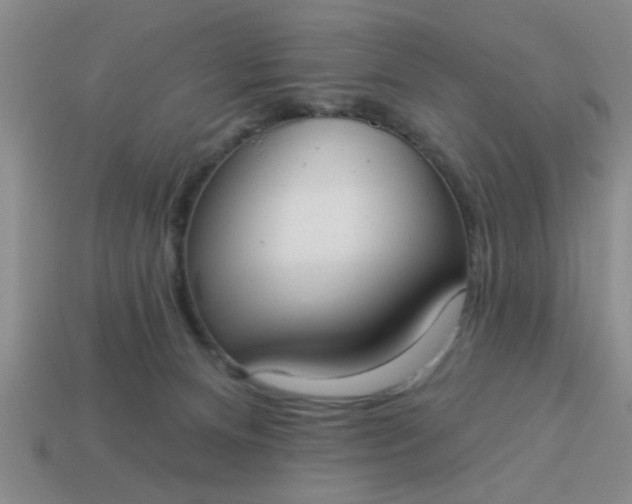 X0000114130128200910221512