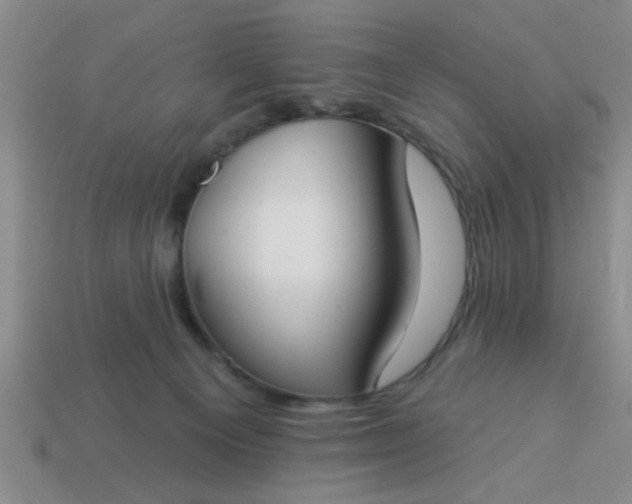 X0000114130129200910221512