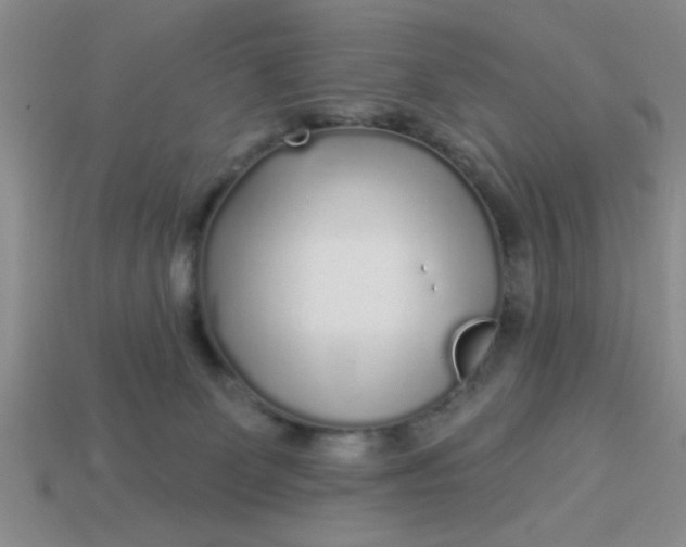 X0000114130131200910221512